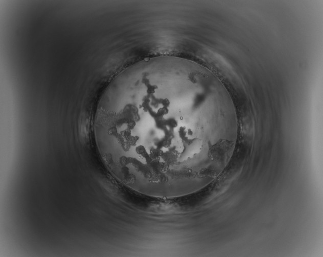 X0000093410503200710121120