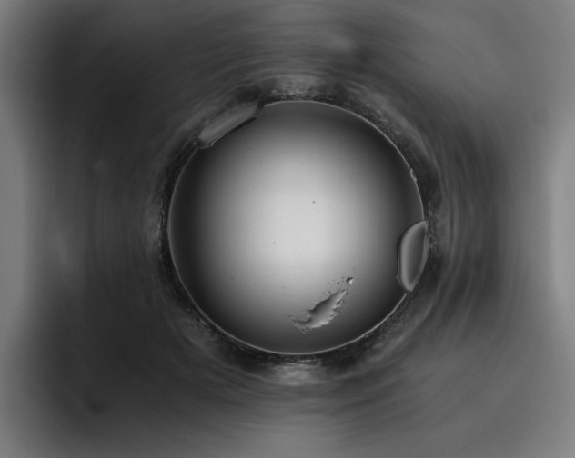 X0000093410505200710121120