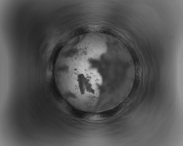 X0000093410507200710121120