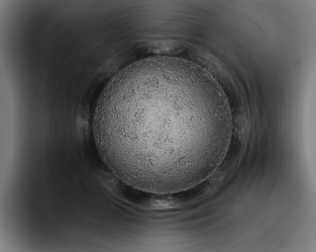 X0000093410510200710121120