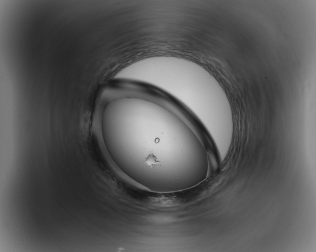 X0000093410511200710121120