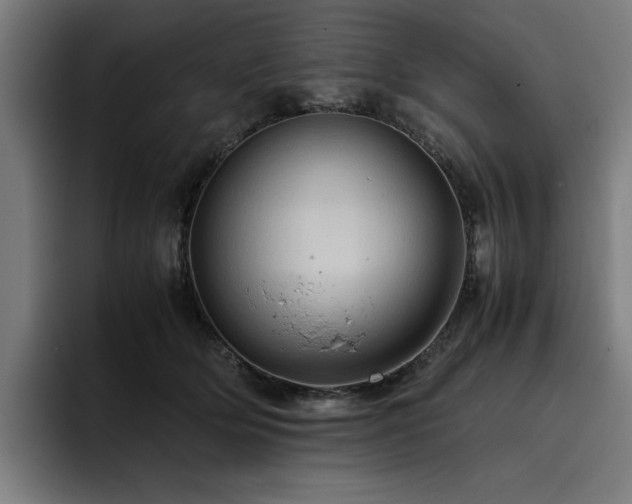 X0000093410514200710121120