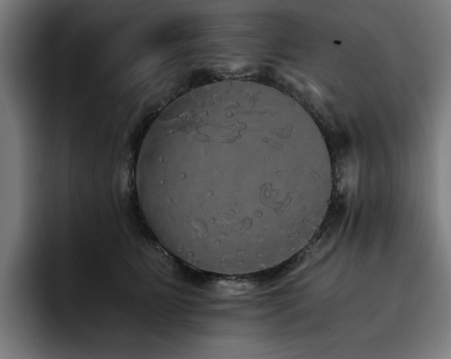 X0000093410515200710121120