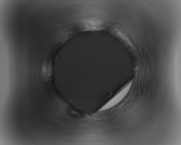 X0000093410517200710121120