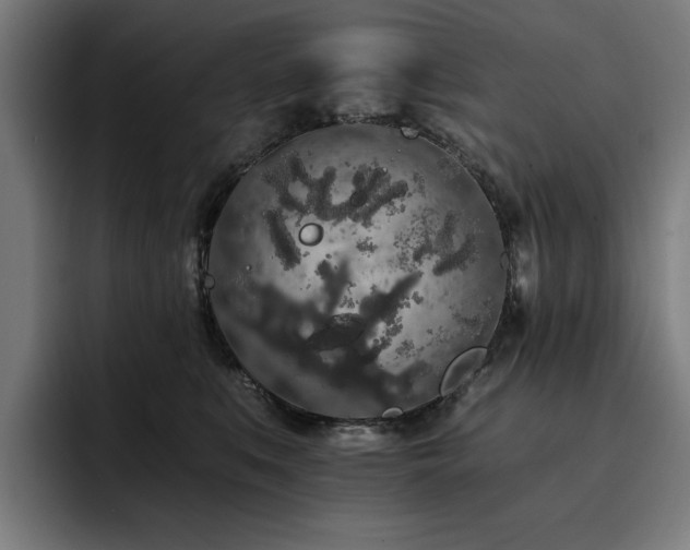 X0000093410519200710121120