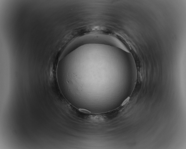 X0000093410520200710121120