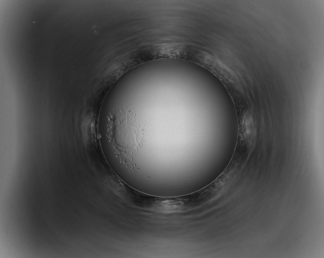 X0000093410522200710121120