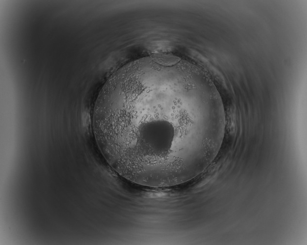 X0000093410523200710121120