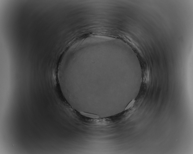 X0000093410524200710121120