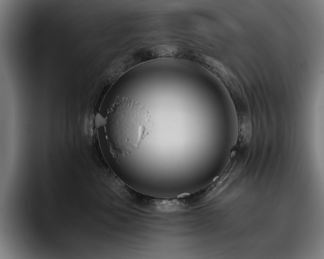 X0000093410525200710121120