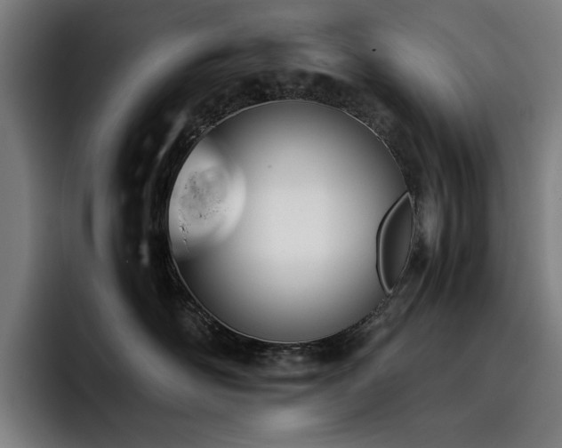 X0000093410526200710121120