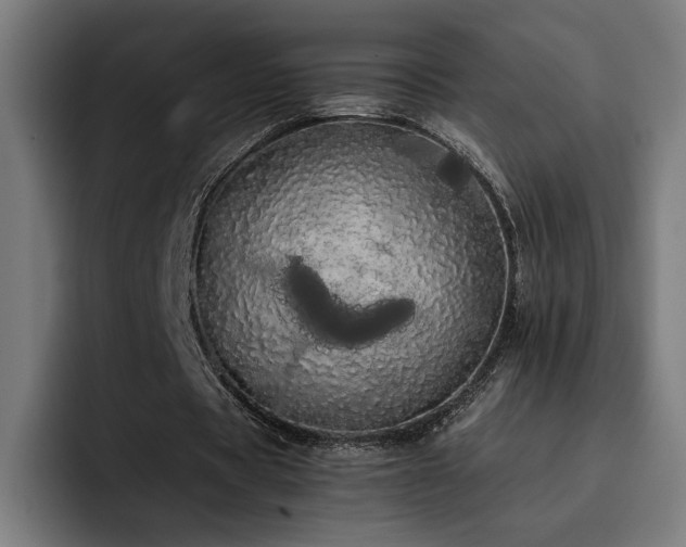 X0000093410529200710121119