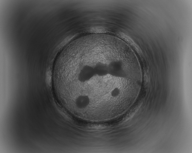 X0000093410533200710121119