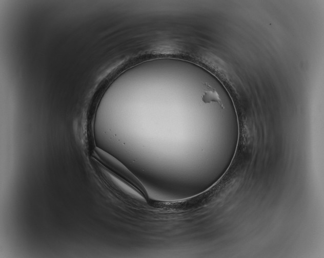 X0000093410535200710121119