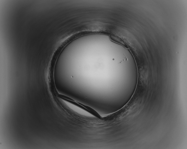 X0000093410536200710121119