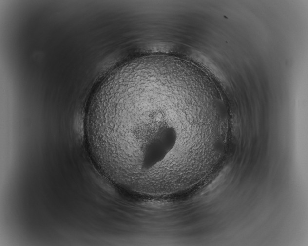 X0000093410537200710121119