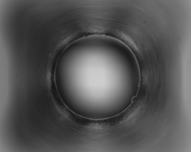 X0000093410538200710121119