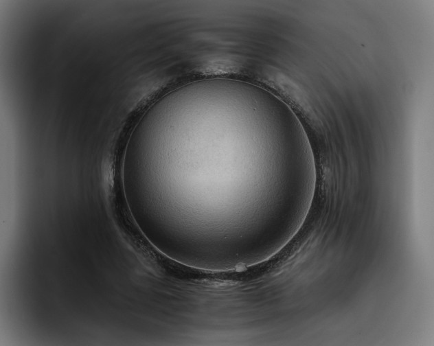 X0000093410539200710121119