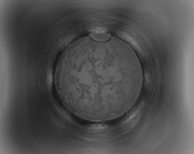 X0000093410541200710121119