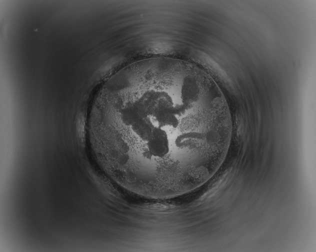 X0000093410542200710121119