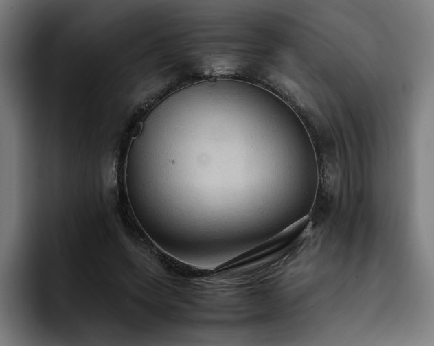 X0000093410543200710121119