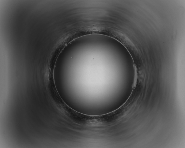 X0000093410544200710121119