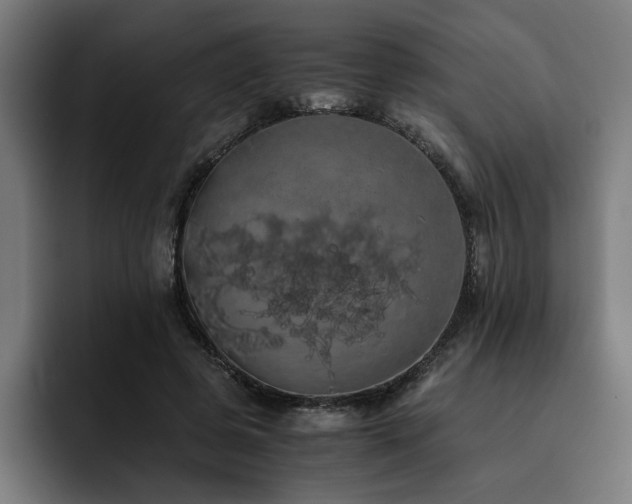 X0000093410545200710121119