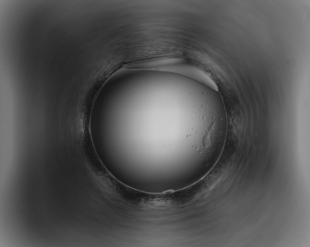 X0000093410546200710121119