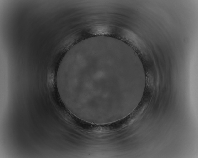 X0000093410549200710121119