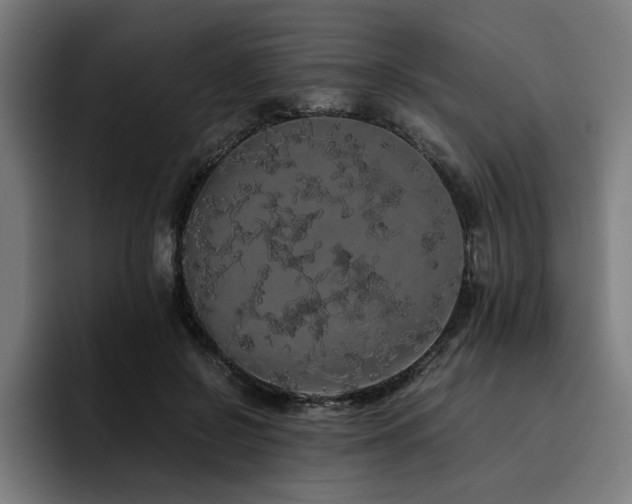 X0000093410550200710121119