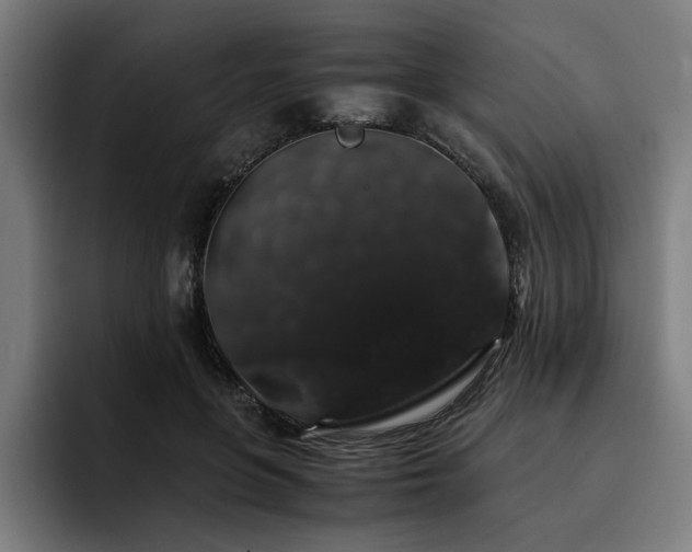 X0000093410551200710121119