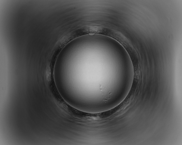 X0000093410552200710121119