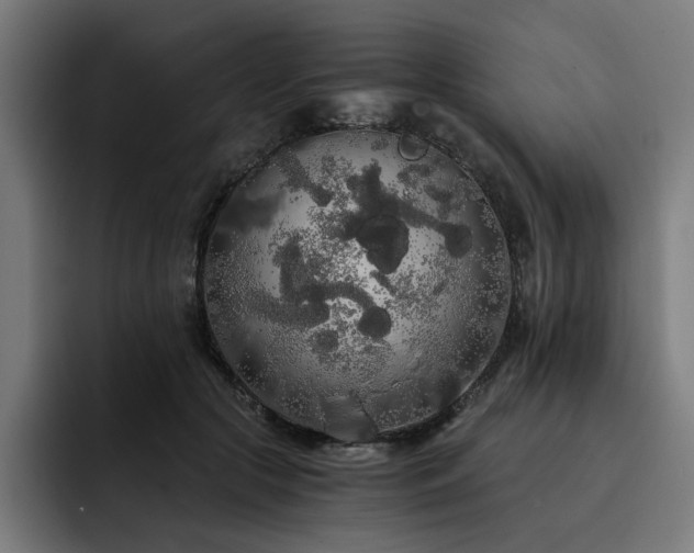 X0000093410553200710121119