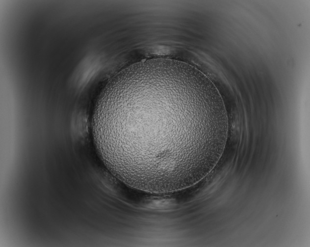 X0000093410555200710121119