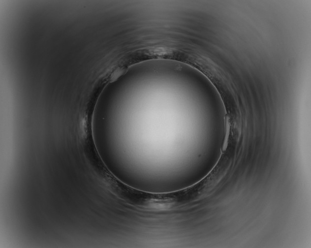 X0000093410556200710121119