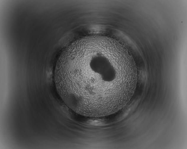 X0000093410557200710121119