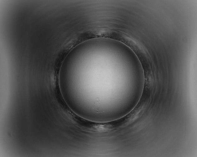 X0000093410558200710121119