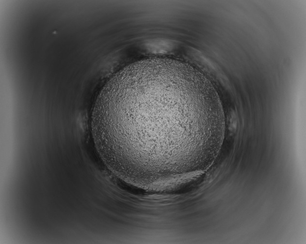 X0000093410559200710121119