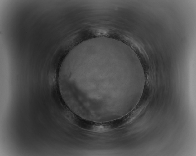 X0000093410561200710121119