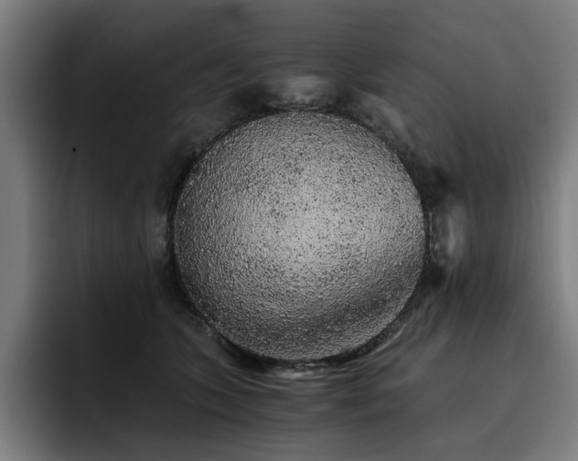 X0000093410563200710121119