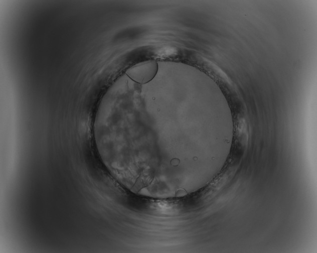 X0000093410565200710121119