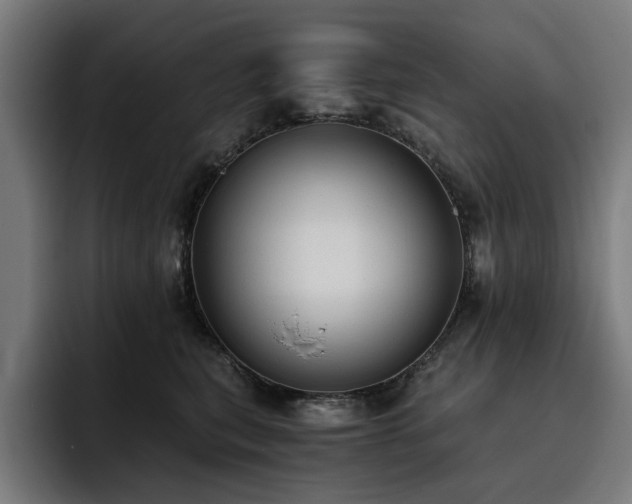 X0000093410567200710121119