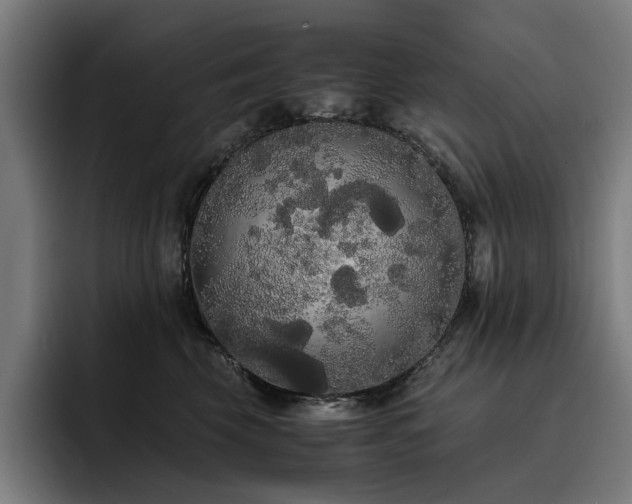 X0000093410569200710121119