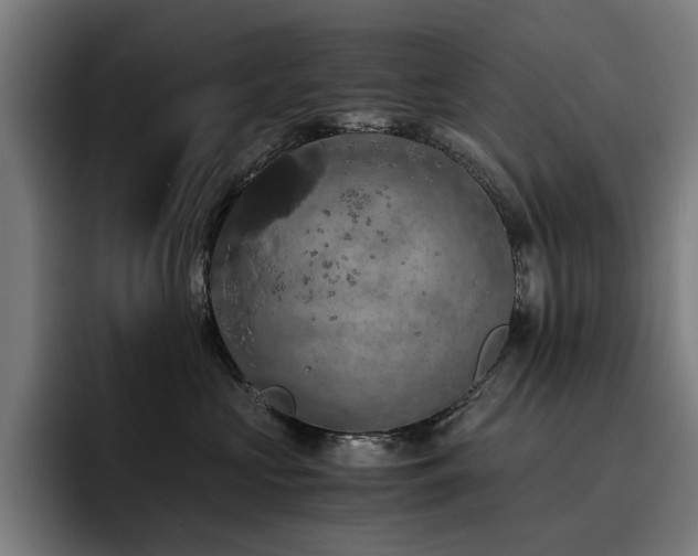 X0000093410573200710121120