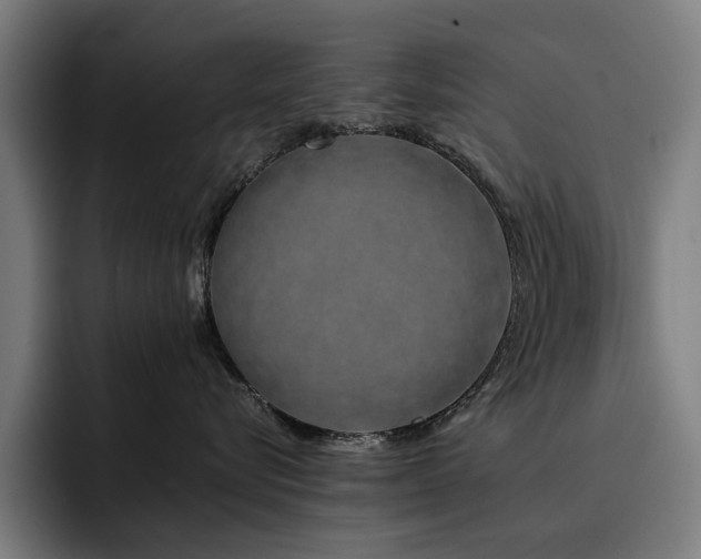 X0000093410576200710121120