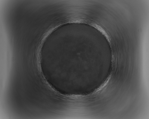 X0000093410577200710121119