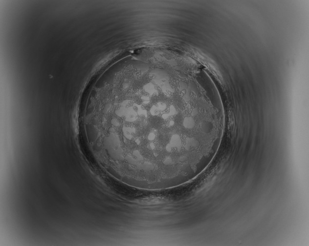 X0000093410578200710121119