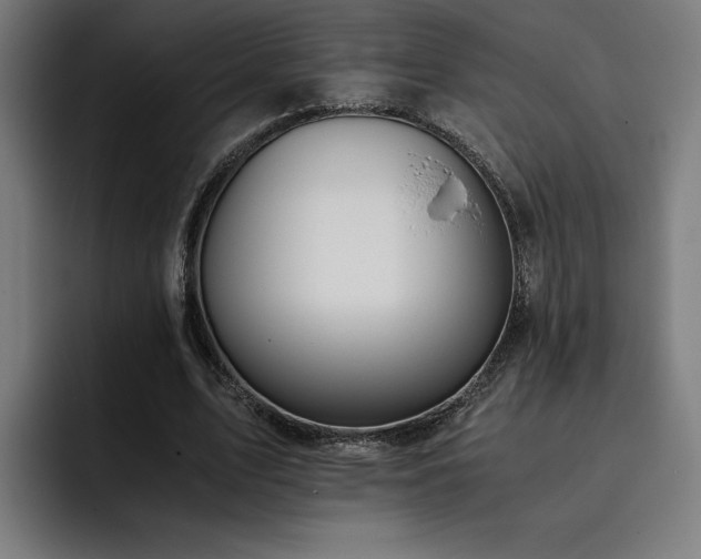 X0000093410583200710121119