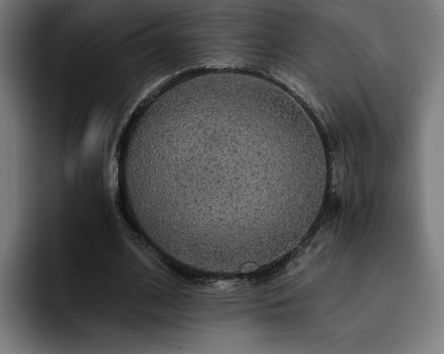 X0000093410584200710121119