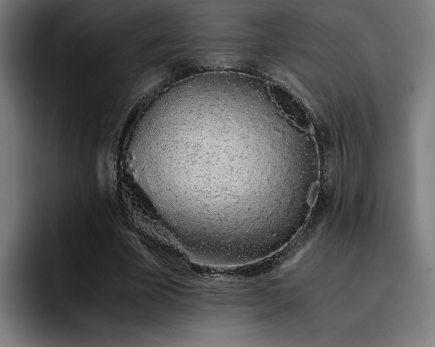 X0000093410585200710121119